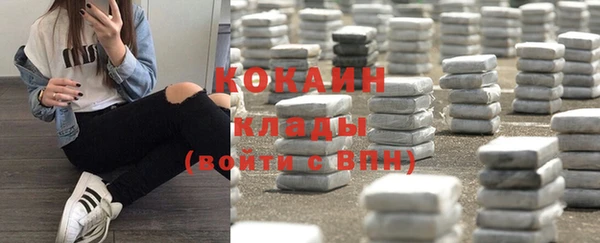 стафф Пересвет