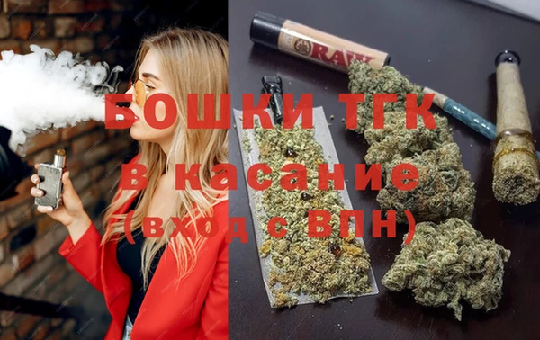 дмт Пестово