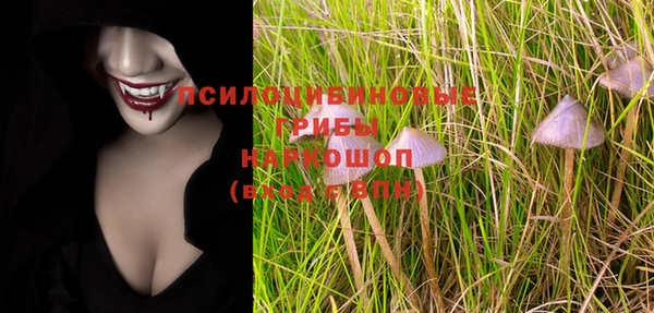 стафф Пересвет