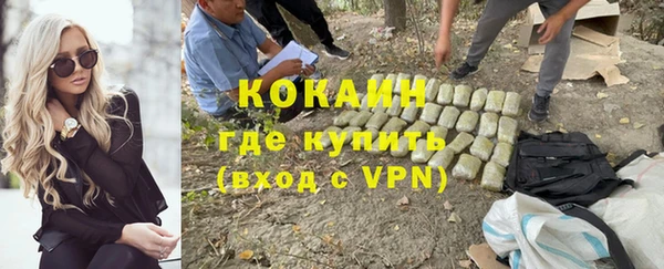 дмт Пестово