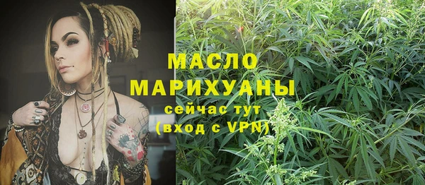 дмт Пестово
