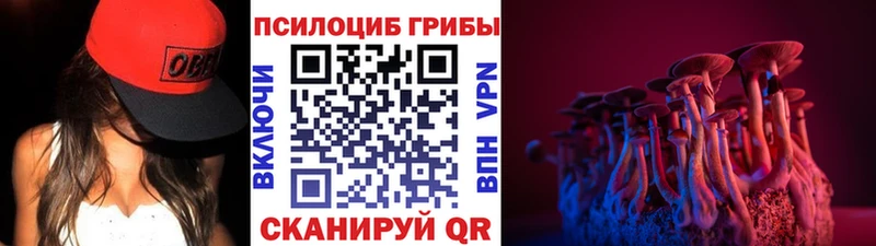 Псилоцибиновые грибы Magic Shrooms  Алагир 