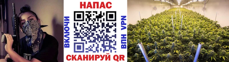 Каннабис AK-47  нарко площадка формула  Алагир 